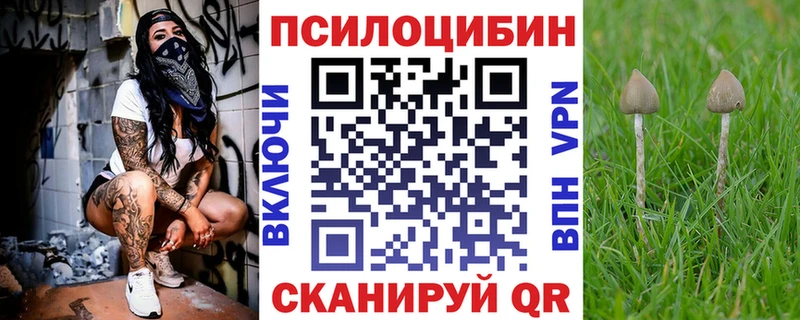 mega маркетплейс  Цимлянск  Галлюциногенные грибы мицелий 
